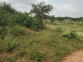 A N Nagar Adi Narasimha Nagar Plots for Sale Mangalpally Village Ramdas Pally Koheda Road Ibrahimpatnam