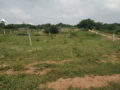 A N Nagar Adi Narasimha Nagar Plots for Sale Mangalpally Village Ramdas Pally Koheda Road Ibrahimpatnam