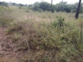 AS Nagar Adi Shakti Nagar Plots Buy/Sale in Laskarguda Gunthapally Sagarpump Hyderabad