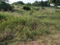 Sai Gokul Valley Plots Buy/Sale Sai Gokul Estates Nereepally Village Ibrahimpatnam