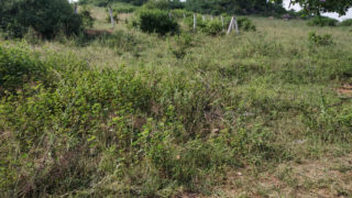 Sai Gokul Valley Plots Buy/Sale Sai Gokul Estates Nereepally Village Ibrahimpatnam