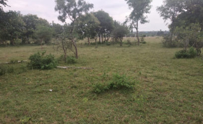 AD Nagar Adi Dharani Nagar Plots Buy/Sale in Pochampally