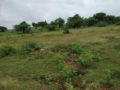 Annapurna Venture Plots Buy/Sale in Toopranpet Village Choutuppal