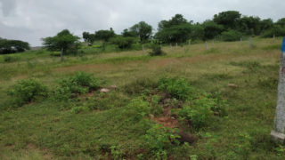 Annapurna Venture Plots Buy/Sale in Toopranpet Village Choutuppal