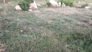 A V C Lakshmi Garden Plots for sale in Pocharam Village Ibrahimpatnam