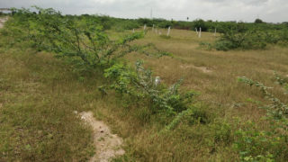 Aditya Nagar Phase III Plots Buy/Sale in Turkayamjal Hyderabad