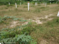 I Ramesh Venture Plots Buy/Sale in Toopranpet Village Choutuppal