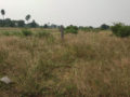 Aluri Colony Plots Buy/Sale Injapur Village Road Thorrur Hayatnagar Hyderabad