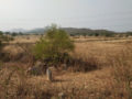 Chalapathi Estates Venture Flowershire Plots Buy/Sale at Malkapur village Dandumailaram road