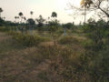 Ganesh Gardens Property and Plots Buy/Sale Mangalpally Village Bongloor Ibrahimpatnam