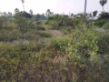 Ganesh Gardens Property and Plots Buy/Sale Mangalpally Village Bongloor Ibrahimpatnam