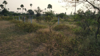 Ganesh Gardens Property and Plots Buy/Sale Mangalpally Village Bongloor Ibrahimpatnam