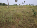 Swagath Filmnagar Swagath Housing Plots Buy/Sale Taramatipet Village Hayatnagar Hyderabad