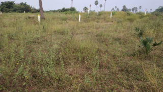 Swagath Filmnagar Swagath Housing Plots Buy/Sale Taramatipet Village Hayatnagar Hyderabad