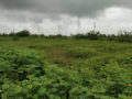 Residential plots for sale Geetha Layout Plots Buy/Sale Nadergul Village Hyderabad