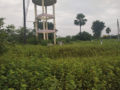 Residential plots for sale J B Sagar Valley Phase II Plots Buy/Sale Mangalpally Ibrahimpatnam