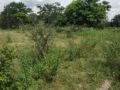 JB Enclave Plots Buy/Sale Bongulur Mangalpally Ibrahimpatnam Hyderabad