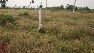 Janachaitanya Plots Buy/Sale Injapur Road Thorrur Village Hayatnagar Hyderabad