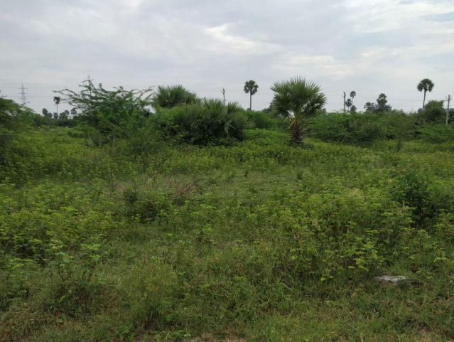 Janachaitanya sai puram Plots Buy/Sale Taramatipet Village kawadipally ...