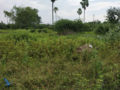 Janachaitanya-sai-puram-kavadipally