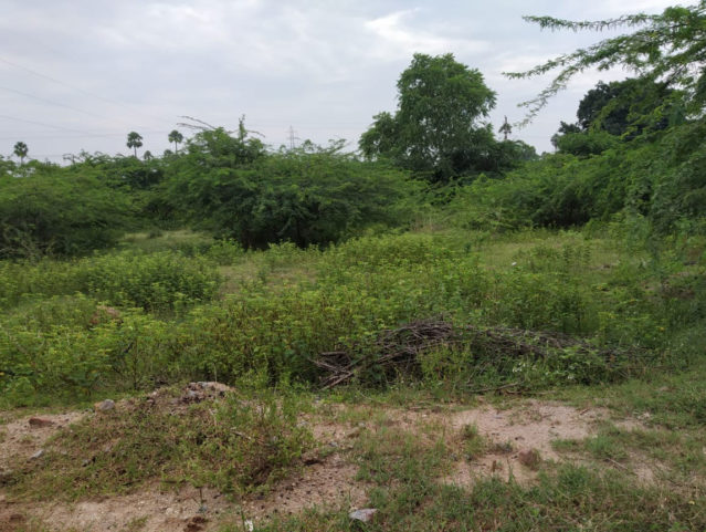 Janachaitanya sai puram Plots Buy/Sale Taramatipet Village kawadipally ...