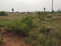 Lakshmi Priya Colony Property and Plots Buy/Sale in Injapur Road Thorrur Village Hyderabad