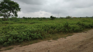 Residential plots for sale Marri Laxmamma Plots Buy/Sale Nadergul Village Hyderabad