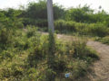 Nagarjuna Colony Plots Buy/Sale Manneguda Turkayamjal Hyderabad