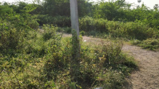 Nagarjuna Colony Plots Buy/Sale Manneguda Turkayamjal Hyderabad