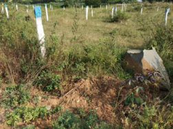 Narayanadri Nagar Plots Buy/Sale Mangalpally Village Ibrahimpatnam Hyderabad