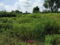 Neeladri Township Plots Buy/Sale Ragannaguda Manneguda Turkayamjal Hyderabad