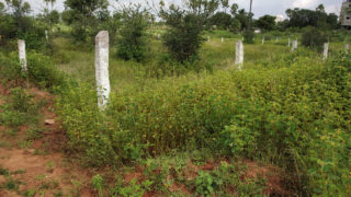 Neeladri Township Plots Buy/Sale Ragannaguda Manneguda Turkayamjal Hyderabad