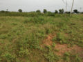 Pragathi Township Plots Buy/Sale Chintpalliguda Village Mangalpally Ibrahimpatnam