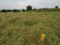 Pragathi Township Plots Buy/Sale Chintpalliguda Village Mangalpally Ibrahimpatnam