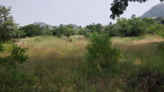 RR-Township-Model-Hills-Deshmukhi-Village-Pochampally-Hyderabad