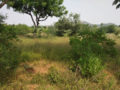 Shiridi Township Golden City Phase II Plots Buy/Sale in Deshmukhi Village Pochampally Hyderabad