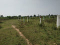 Ramnagar Colony Plots Buy/Sale Bongloor Ibrahimpatnam Hyderabad