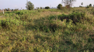 Gandhi Venture Plots Buy/Sale in Taramatipet Hayatnagar Hyderabad