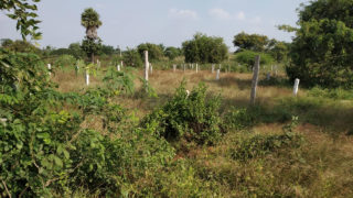 Shivaji Nagar Plots Buy/Sale Mangalpally Village Bongloor Ibrahimpatnam