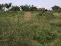 Siri Homes & Townships Plots Buy/Sale Bongloor Chintapalliguda Village Ibrahimpatnam Hyderabad