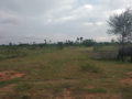 Sun Shine Sree Anjali Plots Buy/Sale in Patelguda Mangalpally Ibrahimpatnam