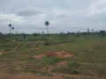 Sun Shine Sree Anjali Plots Buy/Sale in Patelguda Mangalpally Ibrahimpatnam