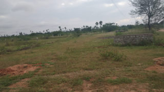 Sun Shine Sree Anjali Plots Buy/Sale in Patelguda Mangalpally Ibrahimpatnam