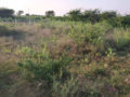 Sreemitra Suryamukhi Plots Buy/Sale Koheda Village Near Torrur Hyderabad