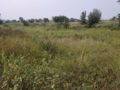 Lakshmi Enclave Plots Buy/Sale in Surmaiguda Village Road Abdullapurmet