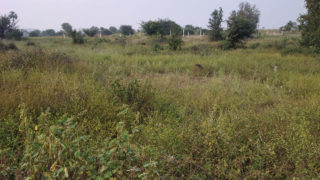 Lakshmi Enclave Plots Buy/Sale in Surmaiguda Village Road Abdullapurmet