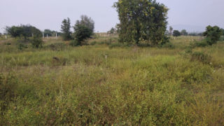 Sri Lakshmi Housing Sri Sakthi Nagar Plots Buy/Sale in Sagarpump Village Laskarguda Abdullapurmet