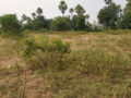 Sri Sri Housing and Constructions Sitara Residential Plots