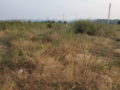 Residential plots for sale in kutumba rao layout Gandicheruvu Koheda Village Peddamberpet