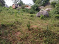 Padmasri Township Plots Buy/Sale in Narayanagiri Village Pochampally